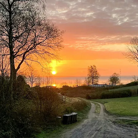 Between Forest And In Tatil Evi *